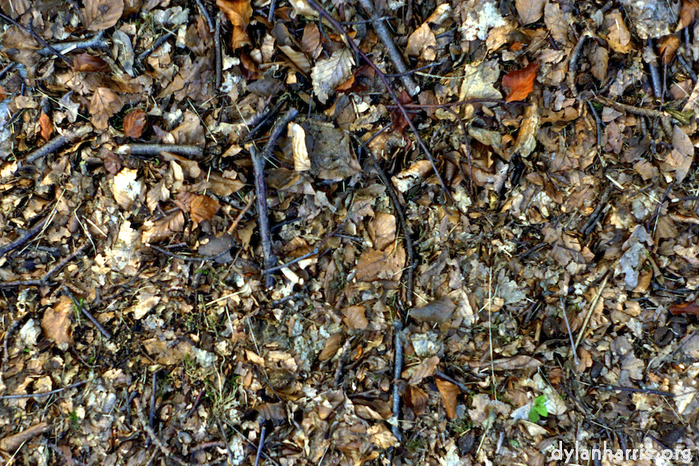 Image: Image 'texture (iii) 7'.