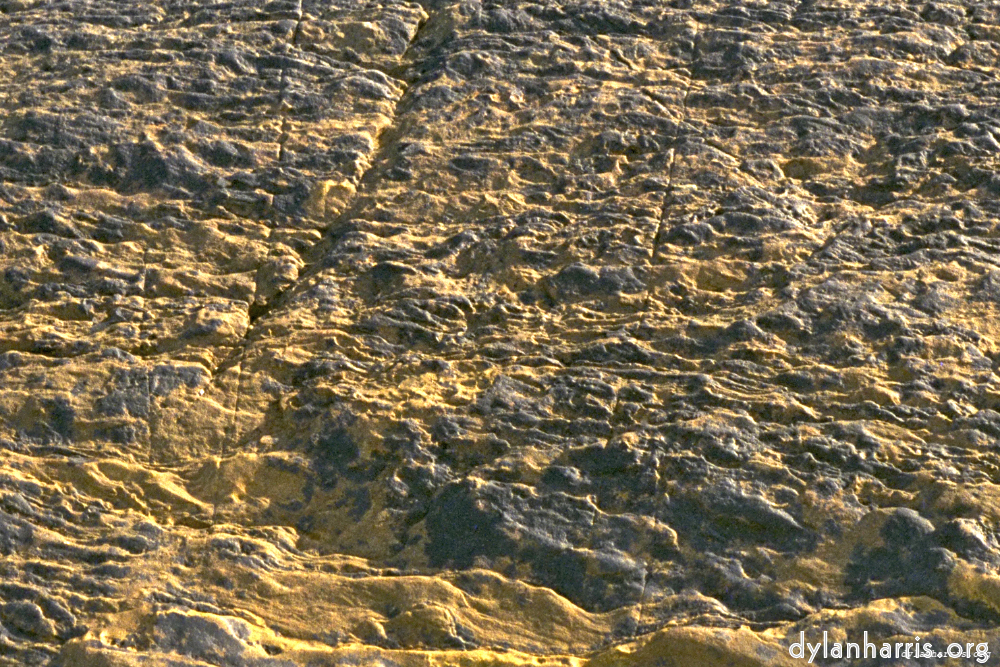 Image: Image 'texture (iii) 8'.