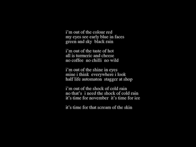 Image 'the pale, part 14'.