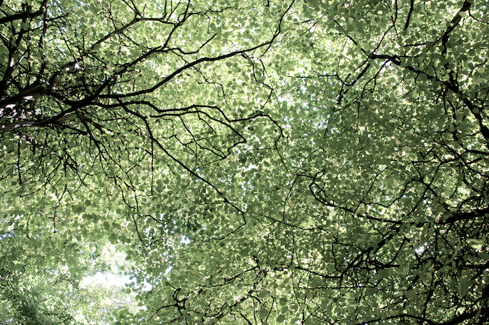 image: This is ‘
the pale, part 3
’.