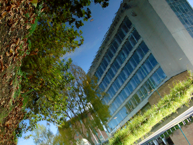 image: This is ‘
the pale, part 4
’.