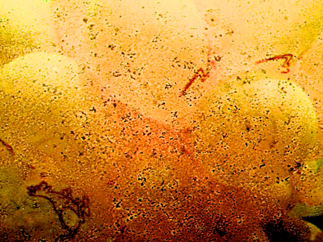 image: This is ‘
the smoke, part 4
’.