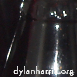 Image 'wurm im apfel (i) 10'.