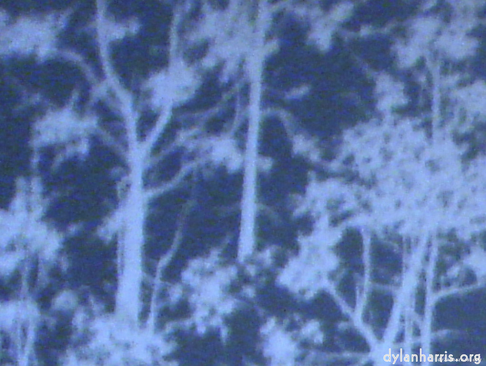 Image 'wurm im apfel (i) 13'.