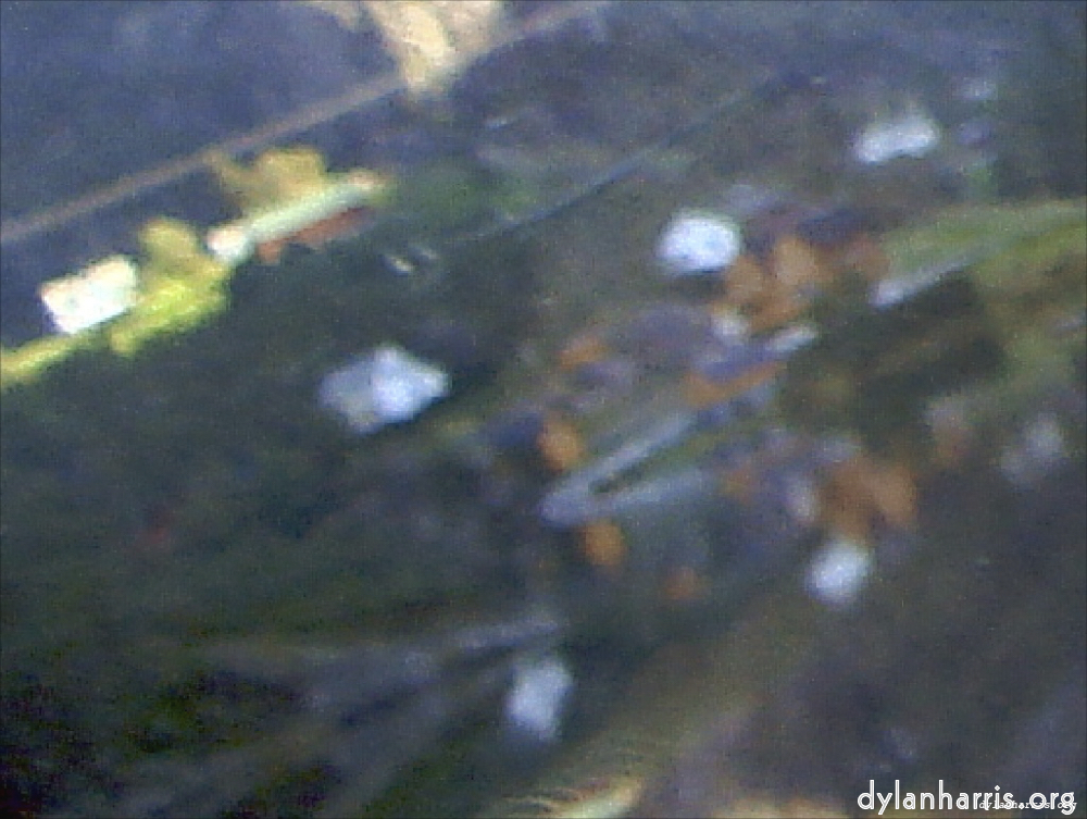 Image 'wurm im apfel (i) 15'.