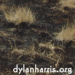 Image 'wurm im apfel (i) 6'.