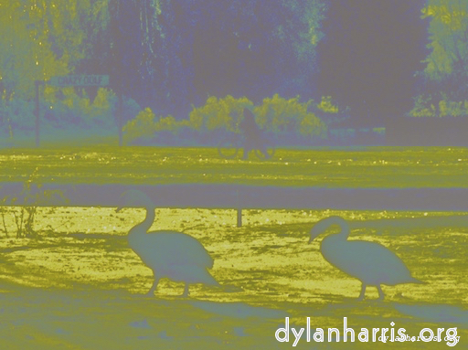 Image 'wurm im apfel (ii) 5'.