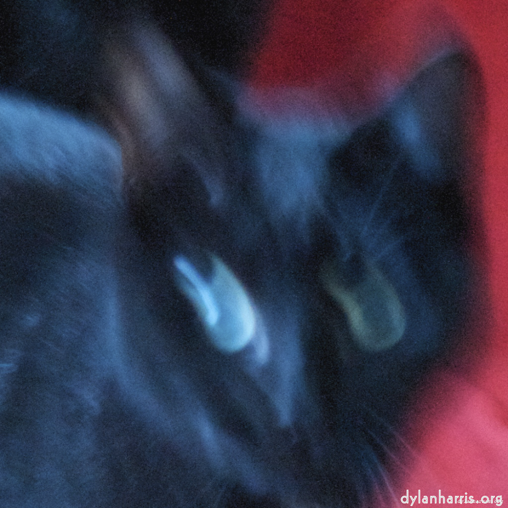 Image 'wurm im apfel (ii) 7'.