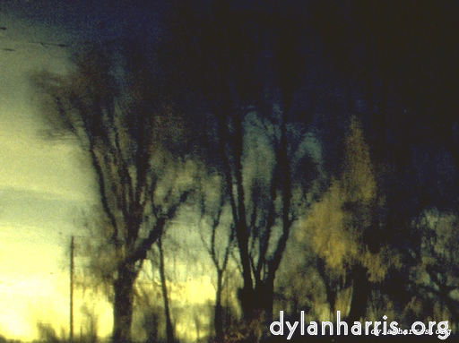 Image 'wurm im apfel (ii) 9'.