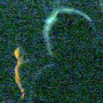 2008 wurm im apfel  photoset