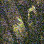 Image: Third image from the photoset 'wurm im apfel (ii)'.