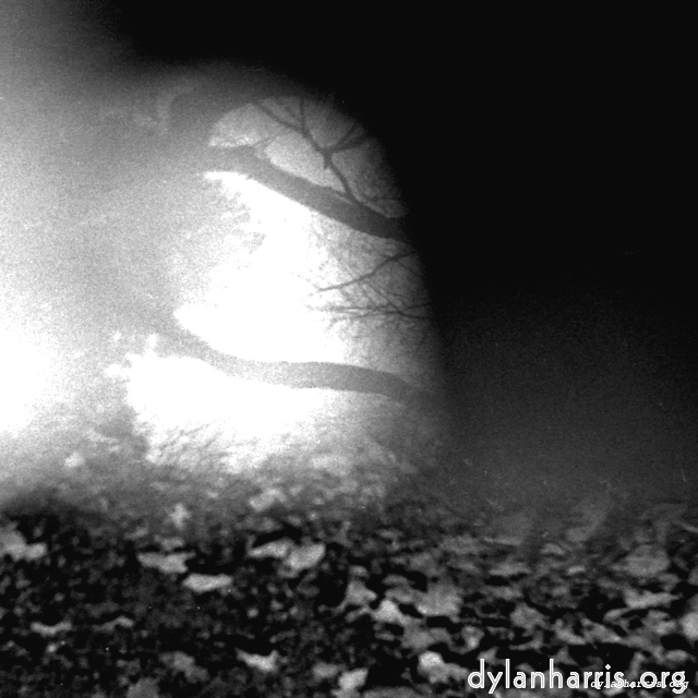 Image: Image 'wurm im apfel (iii) 14'.