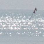 Second image from the photoset 'wurm im apfel (iv)'.