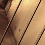 Third image from the photoset 'wurm im apfel (iv)'.