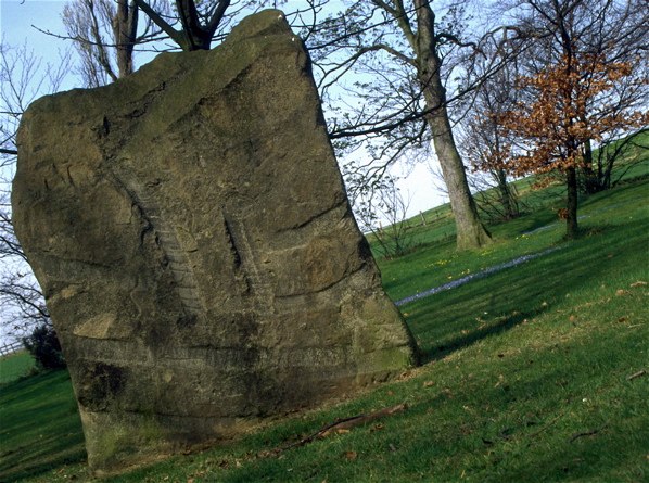 image: unlabelled image