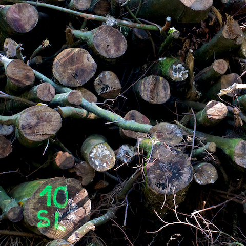 image: unlabelled image