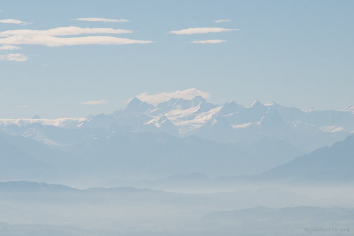 image: unlabelled image