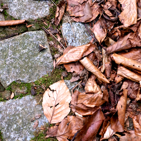 image: unlabelled image