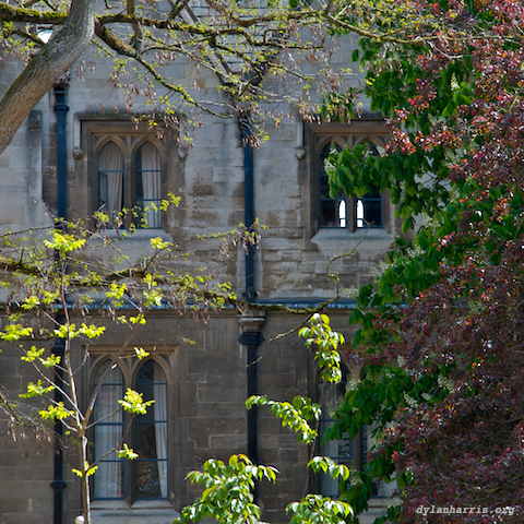 image: unlabelled image