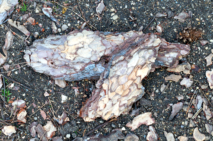 image: unlabelled image