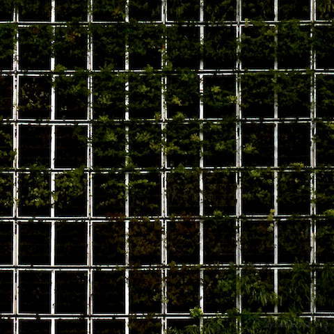 image: unlabelled image