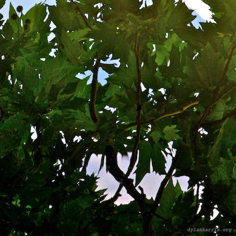 image: unlabelled image