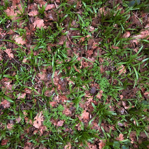 image: unlabelled image