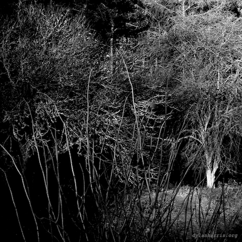 image: unlabelled image