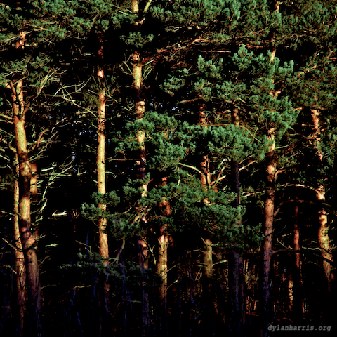 image: unlabelled image