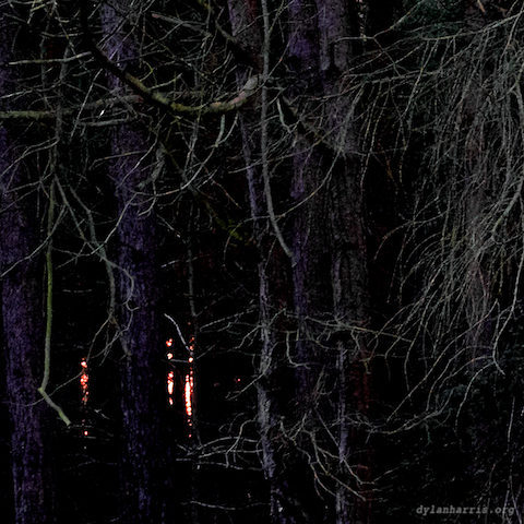 image: unlabelled image