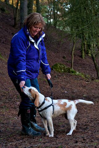 image: unlabelled image