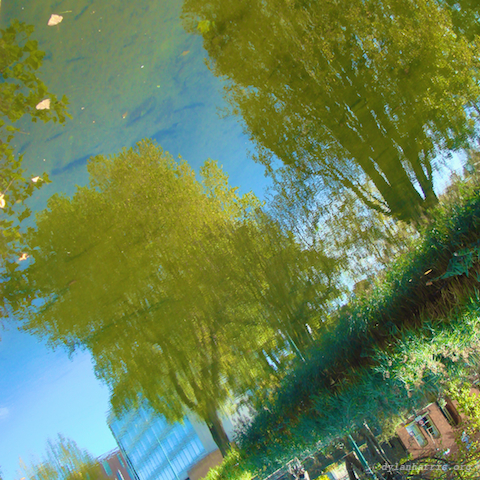 image: unlabelled image