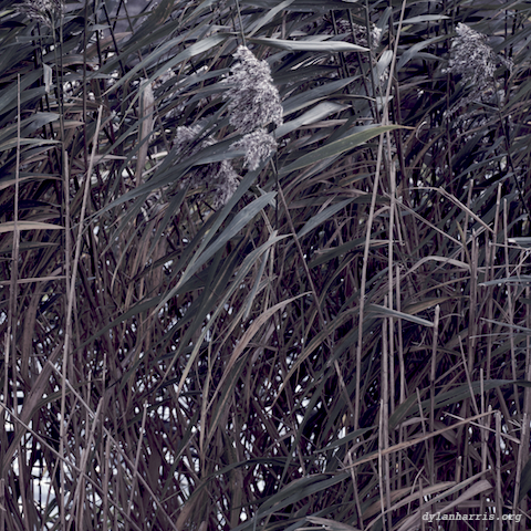 image: unlabelled image