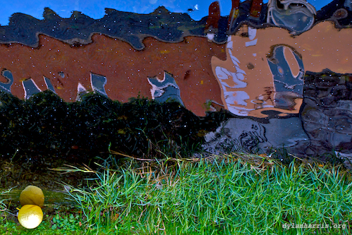 image: unlabelled image