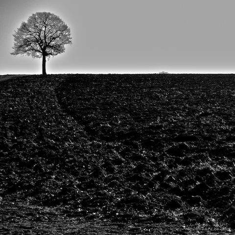 image: unlabelled image