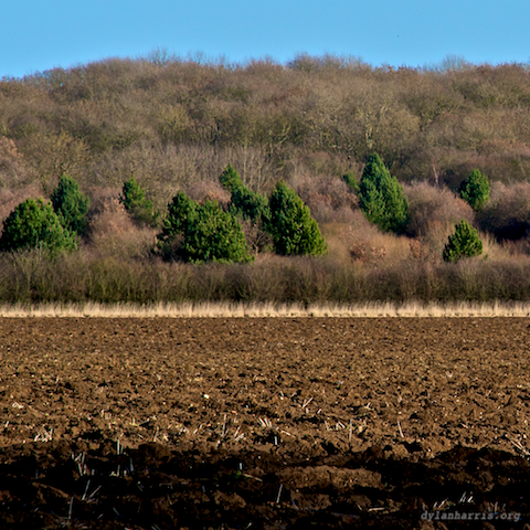 image: unlabelled image