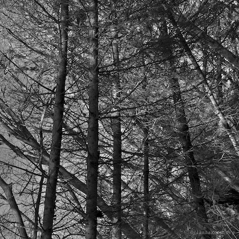 image: unlabelled image