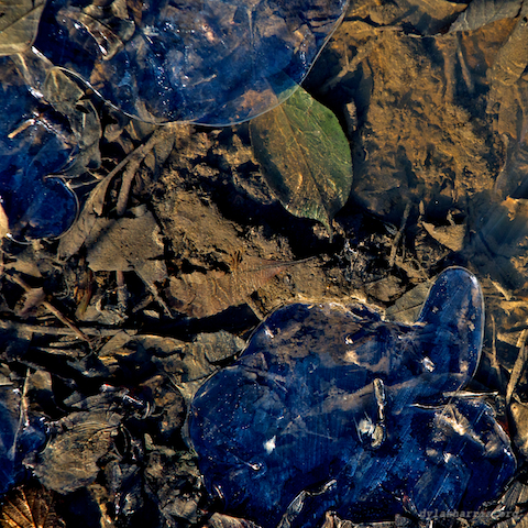 image: unlabelled image