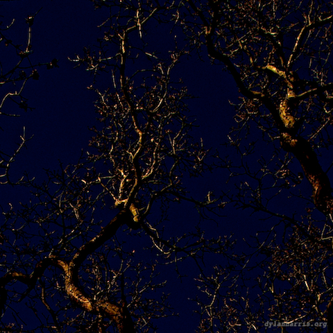 image: unlabelled image