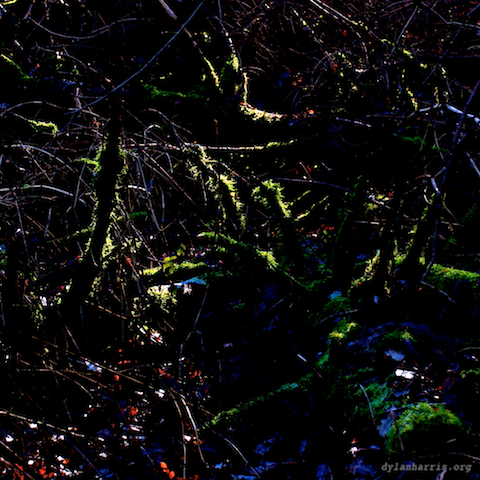 image: unlabelled image