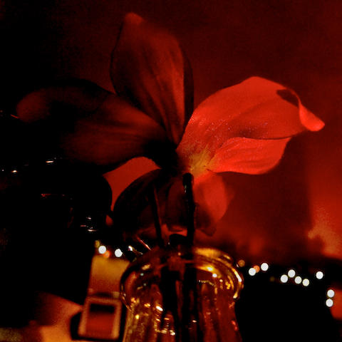 image: unlabelled image