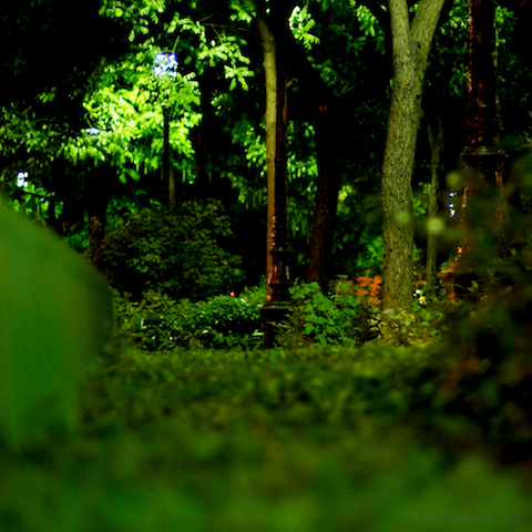 image: unlabelled image