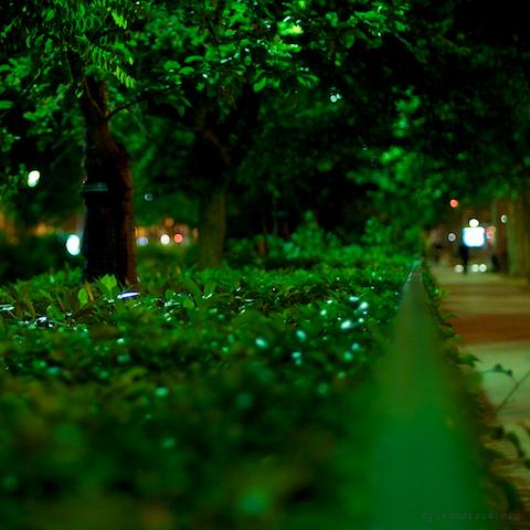 image: unlabelled image