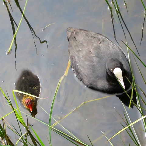 image: unlabelled image