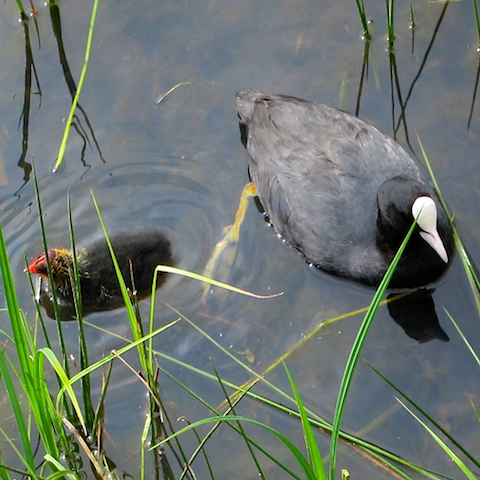 image: unlabelled image