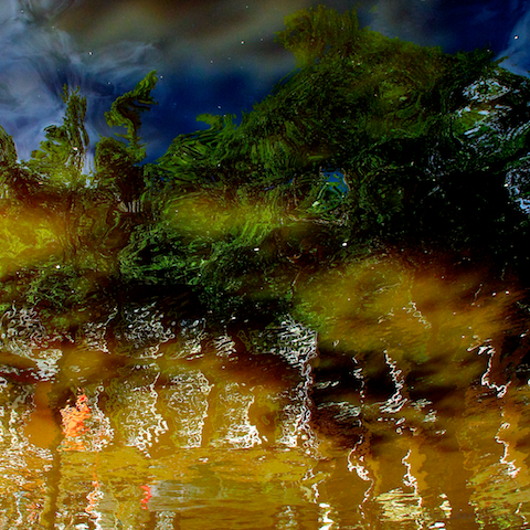 image: unlabelled image