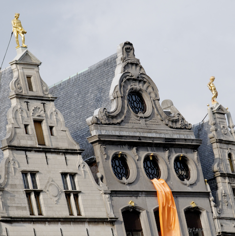 image: unlabelled image