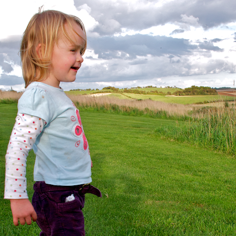 image: unlabelled image