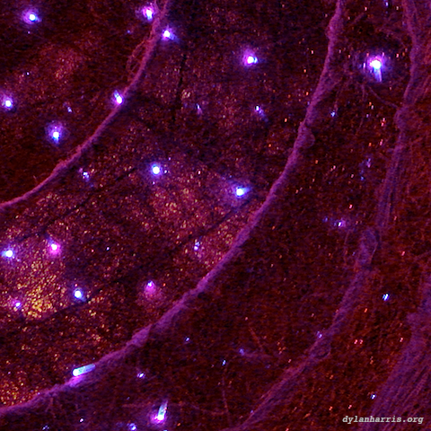 image: unlabelled image