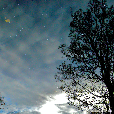 image: unlabelled image